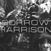 Sorrow Harrison