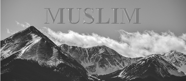RP Family | MUSLIM - RP | Неактивные семьи и организации - Absolute Play