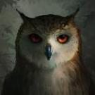 Sova Owlet